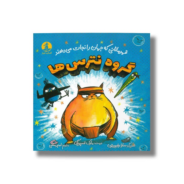 کتاب گروه نترس ها اثر مارک اسپرینگ ترجمه امیر متقی نشر میلکان