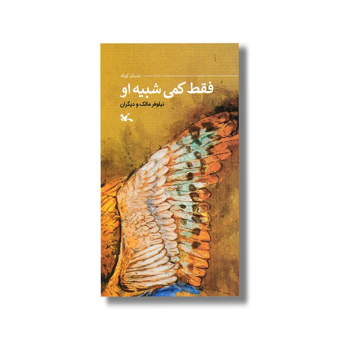 کتاب فقط کمی شبیه او اثر نیلوفر مالک نشر کانون پرورش فکری کودکان و نوجوانان