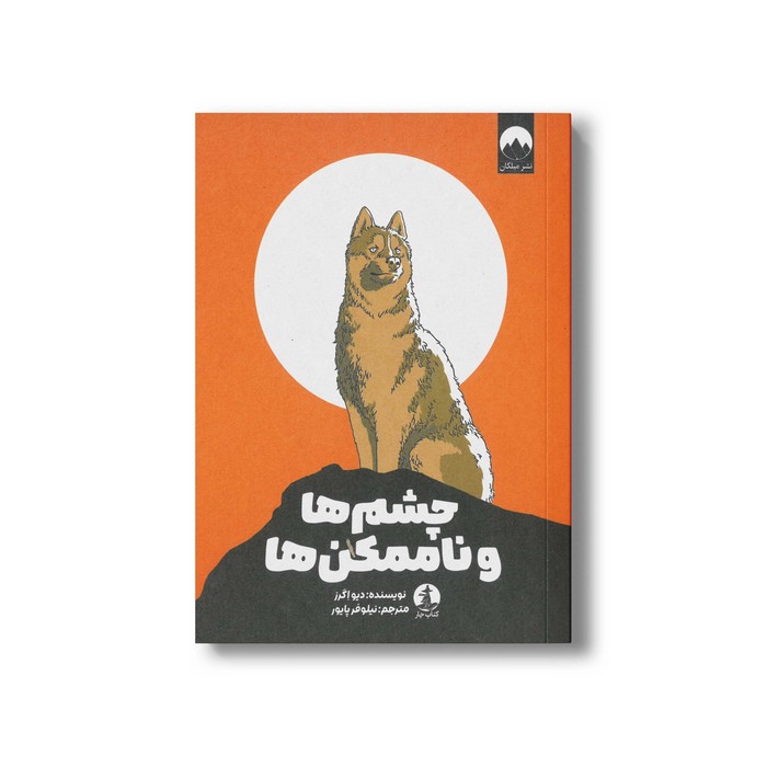 کتاب چشم ها و ناممکن ها اثر دیو اگرز ترجمه نیلوفر پایور نشر میلکان