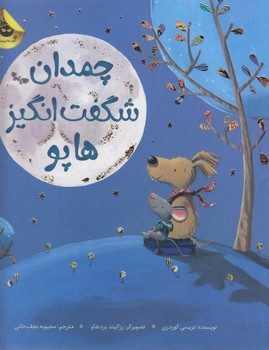 کتاب چمدان شگفت انگیز هاپو اثر تریسی کوردری ترجمه محبوبه نجف خانی نشر زعفران