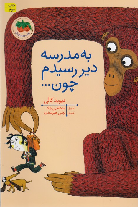 کتاب به مدرسه دیر رسیدم چون اثر دیوید کالی ترجمه رضی هیرمندی نشر افق