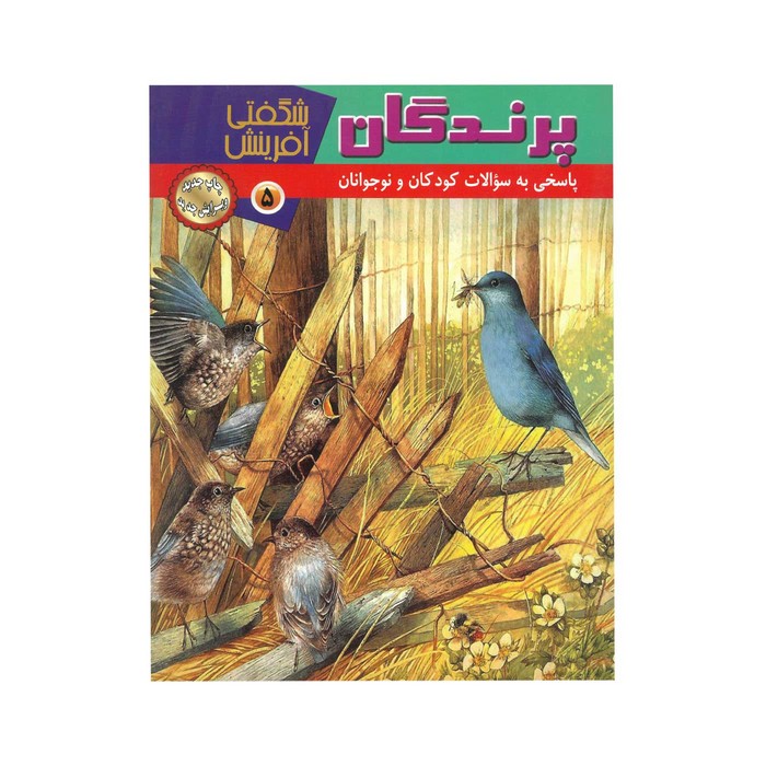 کتاب پرندگان (شگفتی آفرینش 5) اثر سارا فیلیپس نشر پریمان