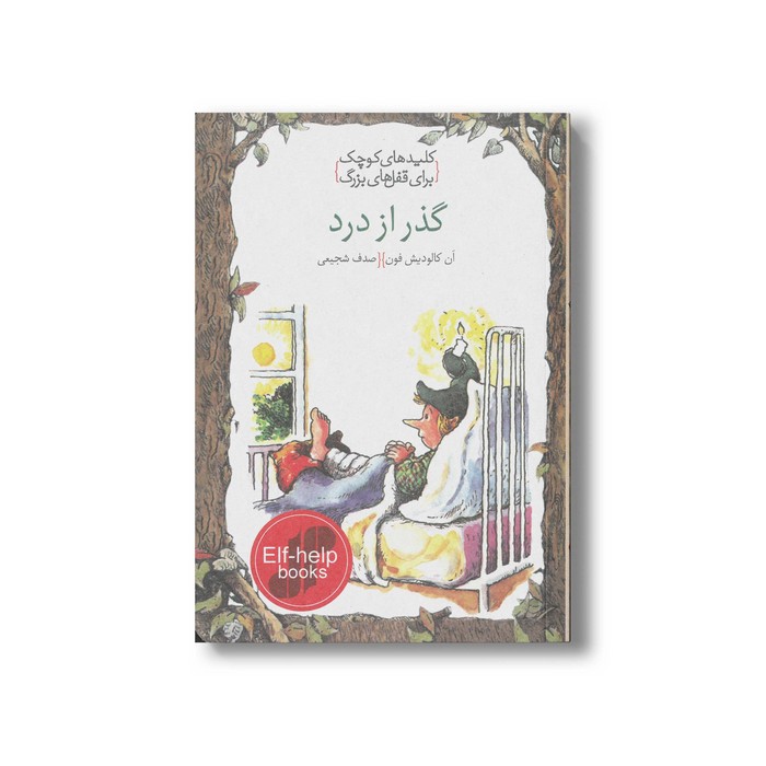 کتاب گذر از درد (کلیدهای کوچک برای قفل های بزرگ) اثر آن کالودیش فون ترجمه صدف شجیعی نشر دومان