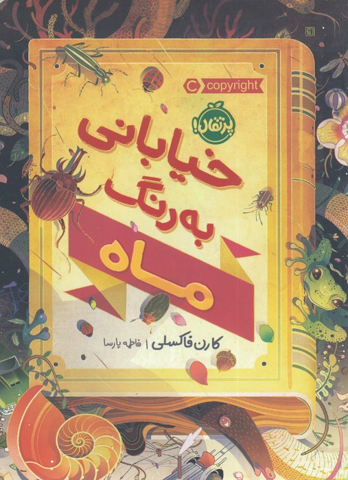 کتاب خیابانی به رنگ ماه اثر کارن فاکسلی ترجمه فاطمه پارسا نشر پرتقال