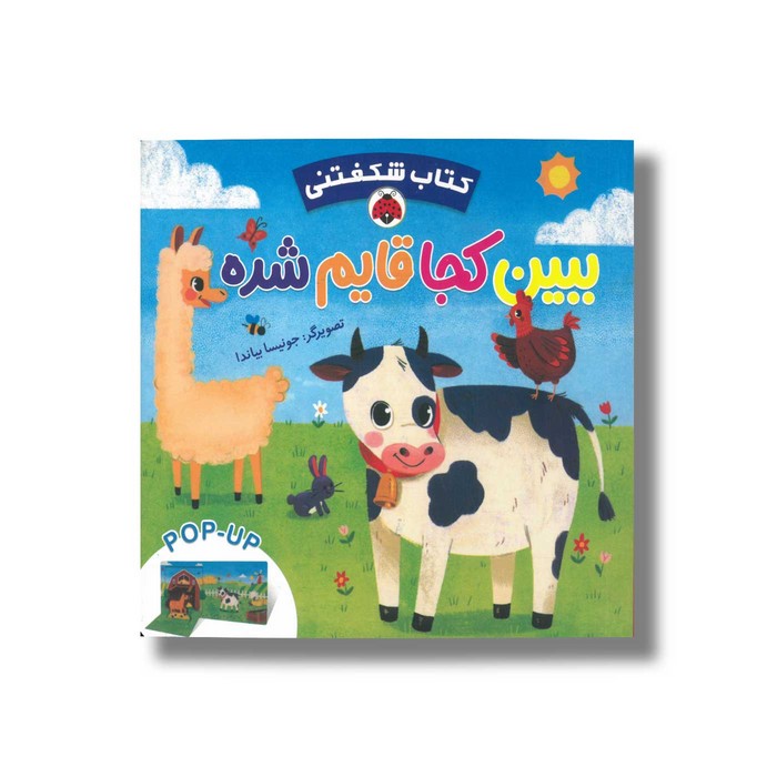 کتاب ببین کجا قایم شده (کتاب شکفتنی) اثر نشر ایگلو بوکز ترجمه وحید مهمان نواز نشر شهر قلم