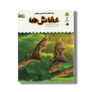 کتاب یک فنجان دانستنی درباره خفاش ها (جلد 7) اثر مگان کولیس ترجمه حمیرا صفوی همامی نشر نوشته