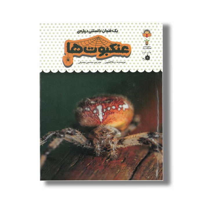 کتاب یک فنجان دانستنی درباره عنکبوت ها (جلد 25) اثر ربکا گیلپین ترجمه محسن عصیانی نشر نوشته