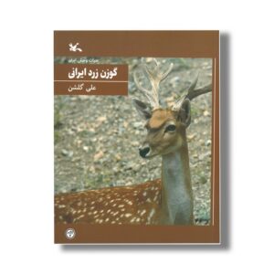کتاب گوزن زرد ایرانی (حیات وحش ایران) اثر علی گلشن نشر کانون پرورش فکری کودکان و نوجوانان