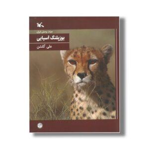 کتاب یوزپلنگ آسیایی (حیات وحش ایران) اثر علی گلشن نشر کانون پرورش فکری کودکان و نوجوانان