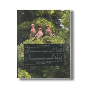 مجموعه سه جلدی تماشای پرندگان اثر پرویز بختیاری نشر کانون پرورش فکری کودکان و نوجوانان