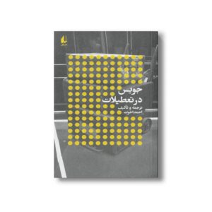 کتاب جویس در تعطیلات اثر احمد اخوت نشر افق