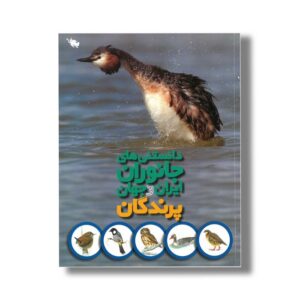 کتاب دانستنی های جانوران ایران و جهان پرندگان اثر محمد کرام الدینی نشر طلایی