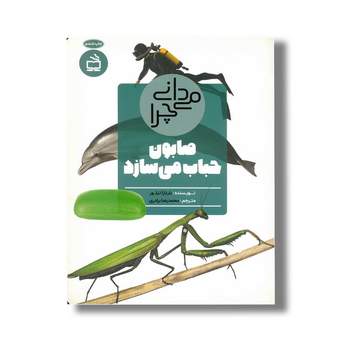 کتاب می دانی چرا صابون حباب می سازد اثر باربارا تیلور ترجمه محمدرضا برادری نشر مدسه