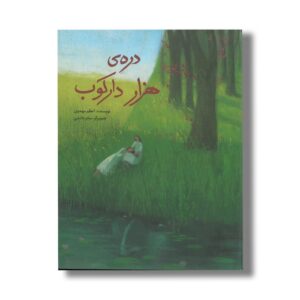 کتاب دره هزار دارکوب اثر اعظم مهدوی نشر فاطمی
