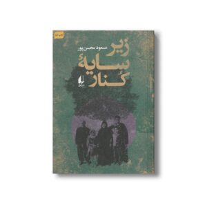 کتاب زیر سایه کنار اثر مسعود محسن پور نشر افق