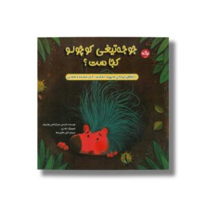 کتاب جوجه تیغی کوچولو کجاست اثر یاسمین تمیزآراباجی ییلدیرماز ترجمه نازلی خلیلی صفا نشر برکه