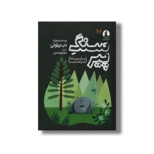 کتاب سنگ پیر اثر دب پیلوتی ترجمه سارا پورحسنی نشر میلکان