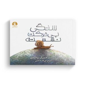کتاب سنگی بی حرکت نشسته اثر برندن ونزل ترجمه الی کاک اشکیانی نشر میلکان