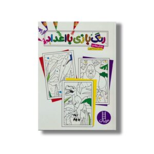 کتاب رنگ بازی با اعداد اثر فانکی بوکس ترجمه سیدرضا کروبی نشر نردبان