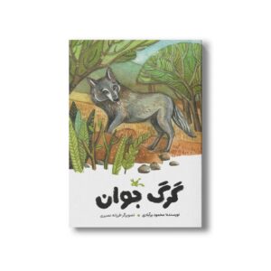 کتاب گرگ جوان اثر محمود برآبادی نشر کانون پرورش فکری کودکان و نوجوانان