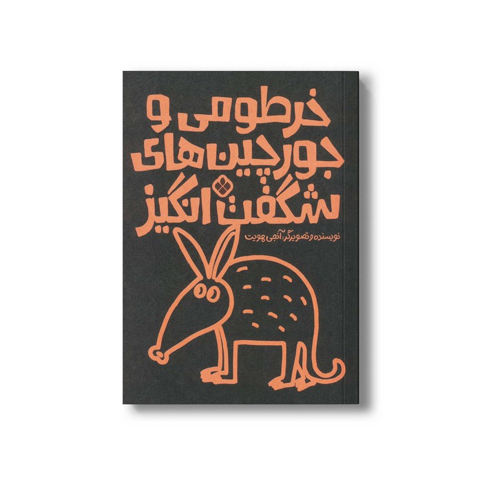کتاب خرطومی و جورچین های شگفت انگیز اثر آنجی هویت ترجمه کیمیا مقدم نشر پنجره