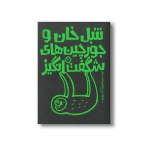 کتاب تنبل خان و جورچین های شگفت انگیز اثر آنجی هویت ترجمه کیمیا مقدم نشر پنجره