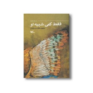 کتاب فقط کمی شبیه او اثر نیلوفر مالک نشر کانون پرورش فکری کودکان و نوجوانان