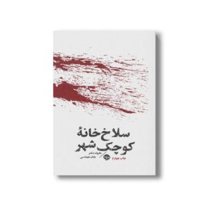 کتاب سلاخ خانه کوچک شهر اثر هارولد شکتر ترجمه بابک طهماسبی نشر خوب
