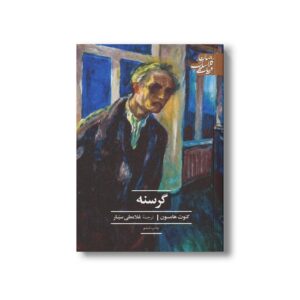 کتاب گرسنه (ادبیات کلاسیک جهان) اثر کنوت هامسون ترجمه غلامعلی سیار نشر علمی فرهنگی