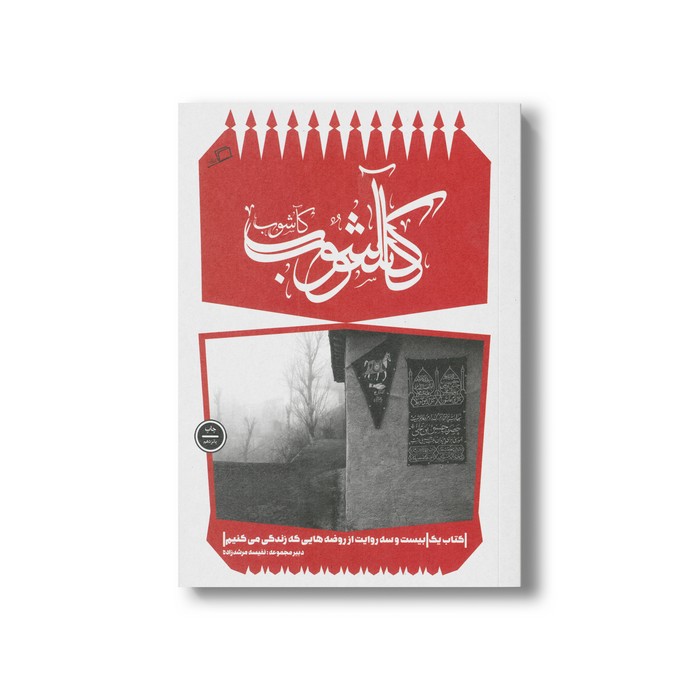 کتاب کاشوب (کاشوب 1) اثر جمعی از نویسندگان نشر اطراف