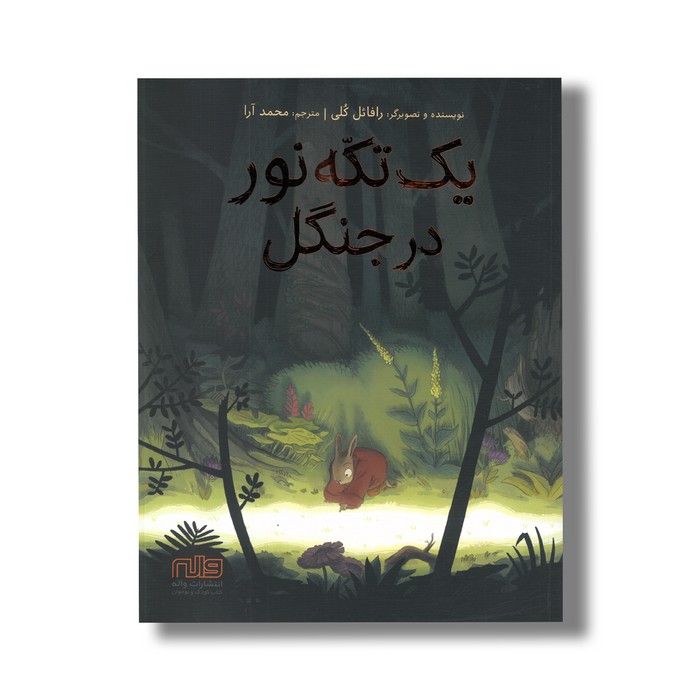کتاب یک تکه نور در جنگل اثر رافائل کلی ترجمه محمد آرا نشر واله