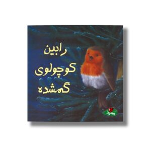 کتاب رابین کوچولوی گمشده اثر الیزابت باگولی ترجمه سارا مایلی نشر پینه دوز