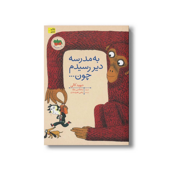 کتاب به مدرسه دیر رسیدم چون اثر دیوید کالی ترجمه رضی هیرمندی نشر افق