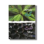 کتاب چگونه یک گیاه تبدیل به نفت می شود (چگونه روی می دهد) اثر لیندا تاگلیافرو ترجمه مجید عمیق نشر کانون پرورش فکری کودکان و نوجوانان