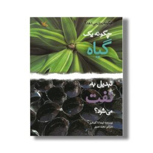 کتاب چگونه یک گیاه تبدیل به نفت می شود (چگونه روی می دهد) اثر لیندا تاگلیافرو ترجمه مجید عمیق نشر کانون پرورش فکری کودکان و نوجوانان