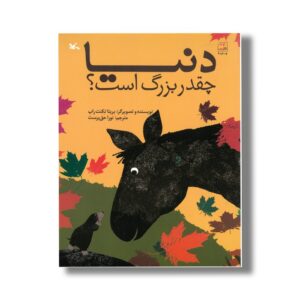 کتاب دنیا چقدر بزرگ است اثر ریتا تکنت راپ ترجمه نورا حق پرست نشر کانون پرورش فکری کودکان و نوجوانان