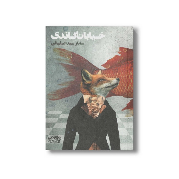 کتاب خیابان گاندی اثر ساناز سیداصفهانی نشر حوض نقره