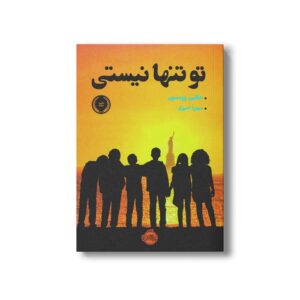 کتاب تو تنها نیستی اثر جکلین وودسون ترجمه میترا امیری نشر پرتقال