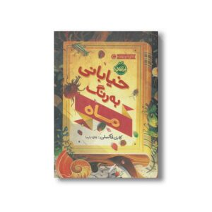 کتاب خیابانی به رنگ ماه اثر کارن فاکسلی ترجمه فاطمه پارسا نشر پرتقال