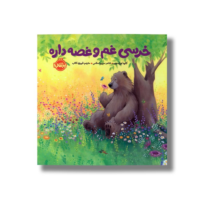 کتاب خرسی غم و غصه داره (خرسی و دوستاش) اثر کارما ویلسون ترجمه فیروزه کاتب نشر پرتقال