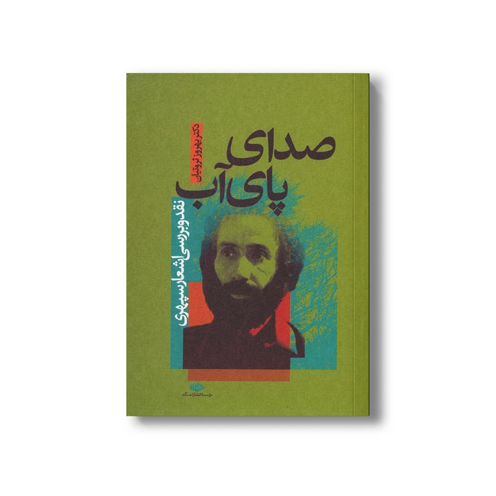 کتاب صدای پای آب (نقد و بررسی اشعار سپهری) اثر بهروز ثروتیان نشر نگاه